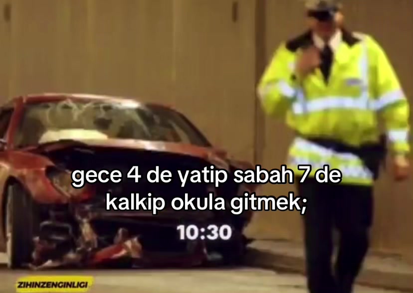 @tembelsi hayvan