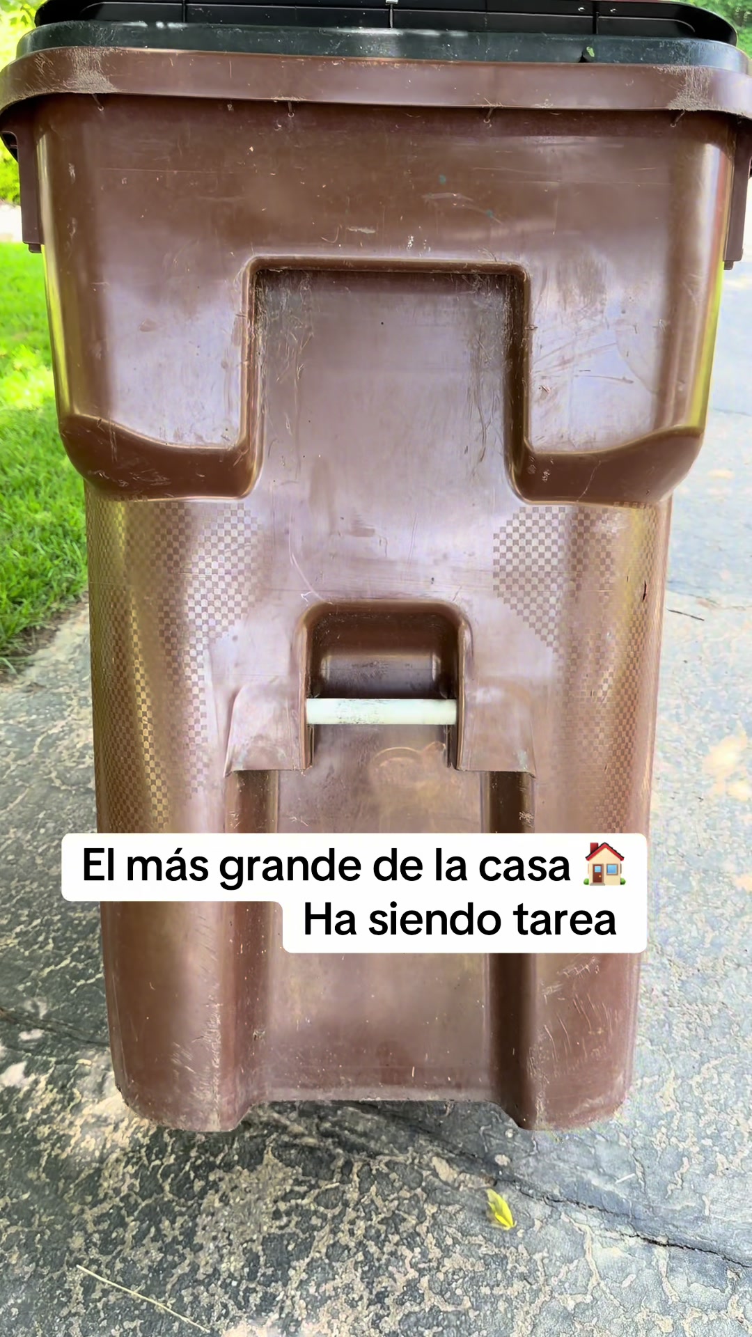 @maricelyperez