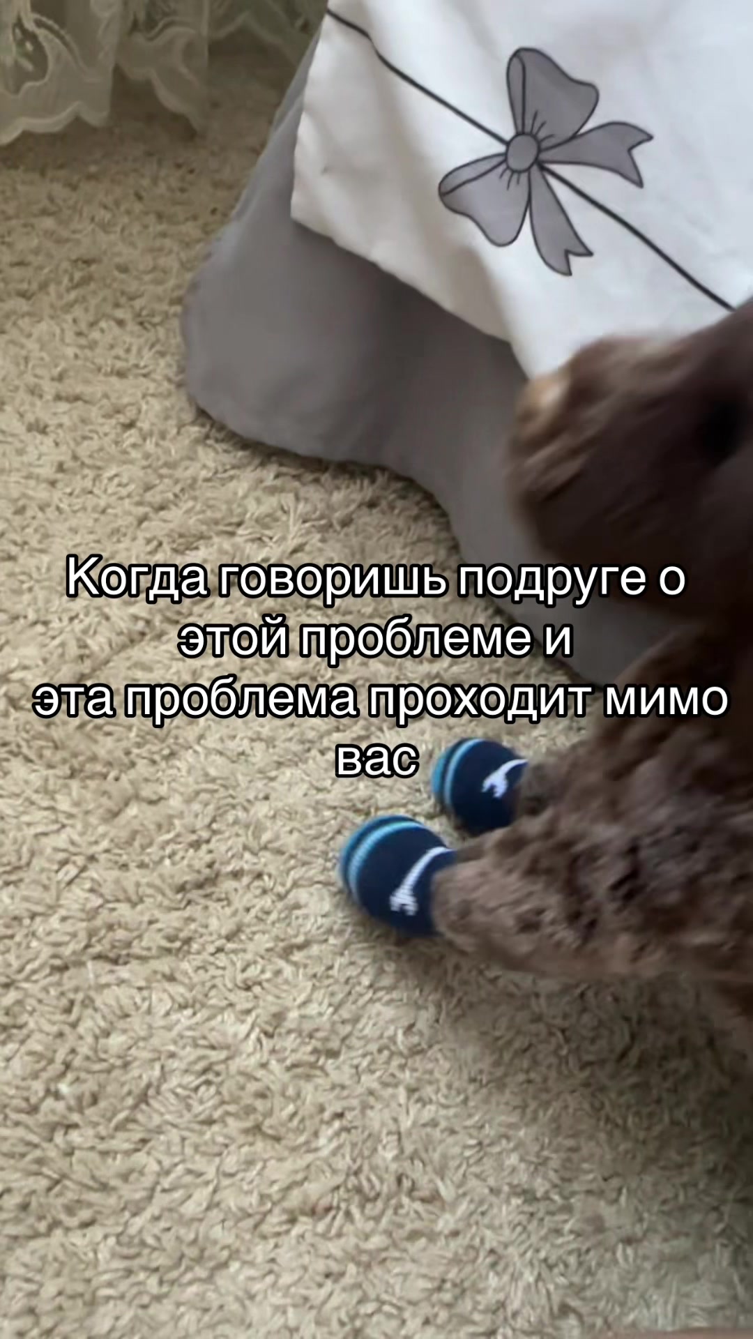 @˚₊‧꒰ა⸰𝙼𝚎𝚕𝚞𝚛𝚒˚໒꒱ ‧₊˚ ┆ᴘᴅʙ