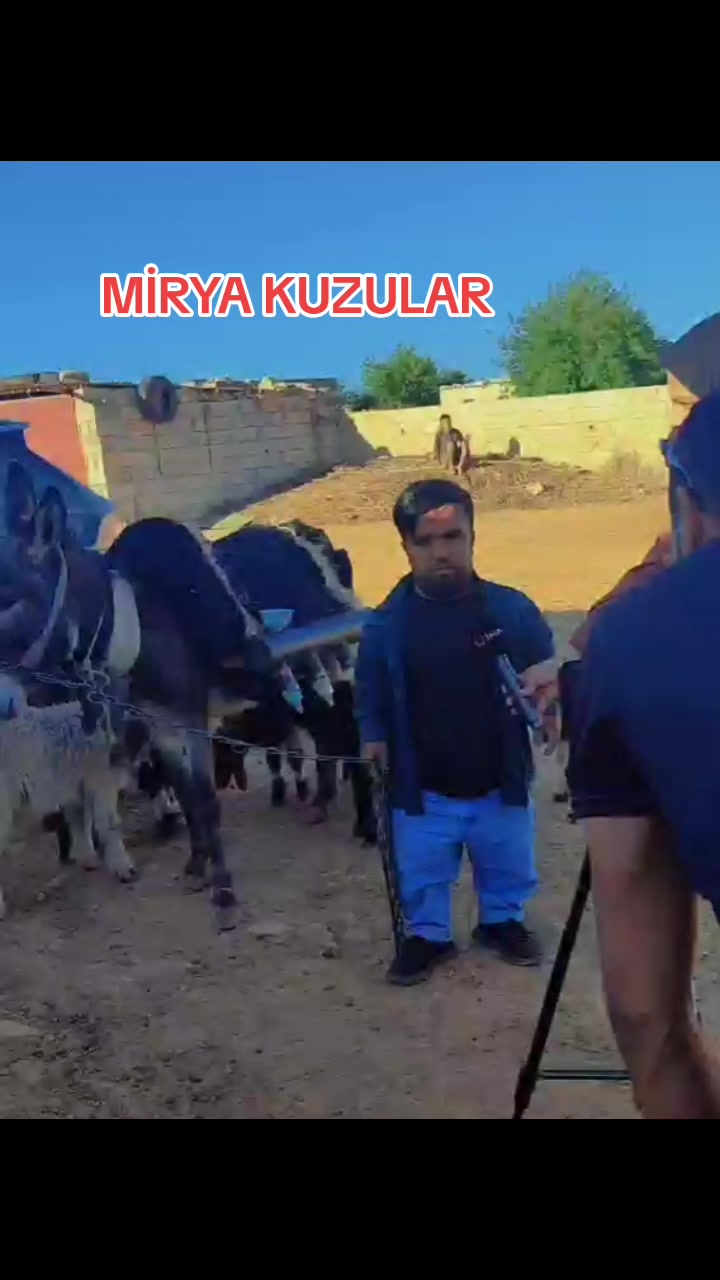 @SEDAT Uçâk|صدام العلي