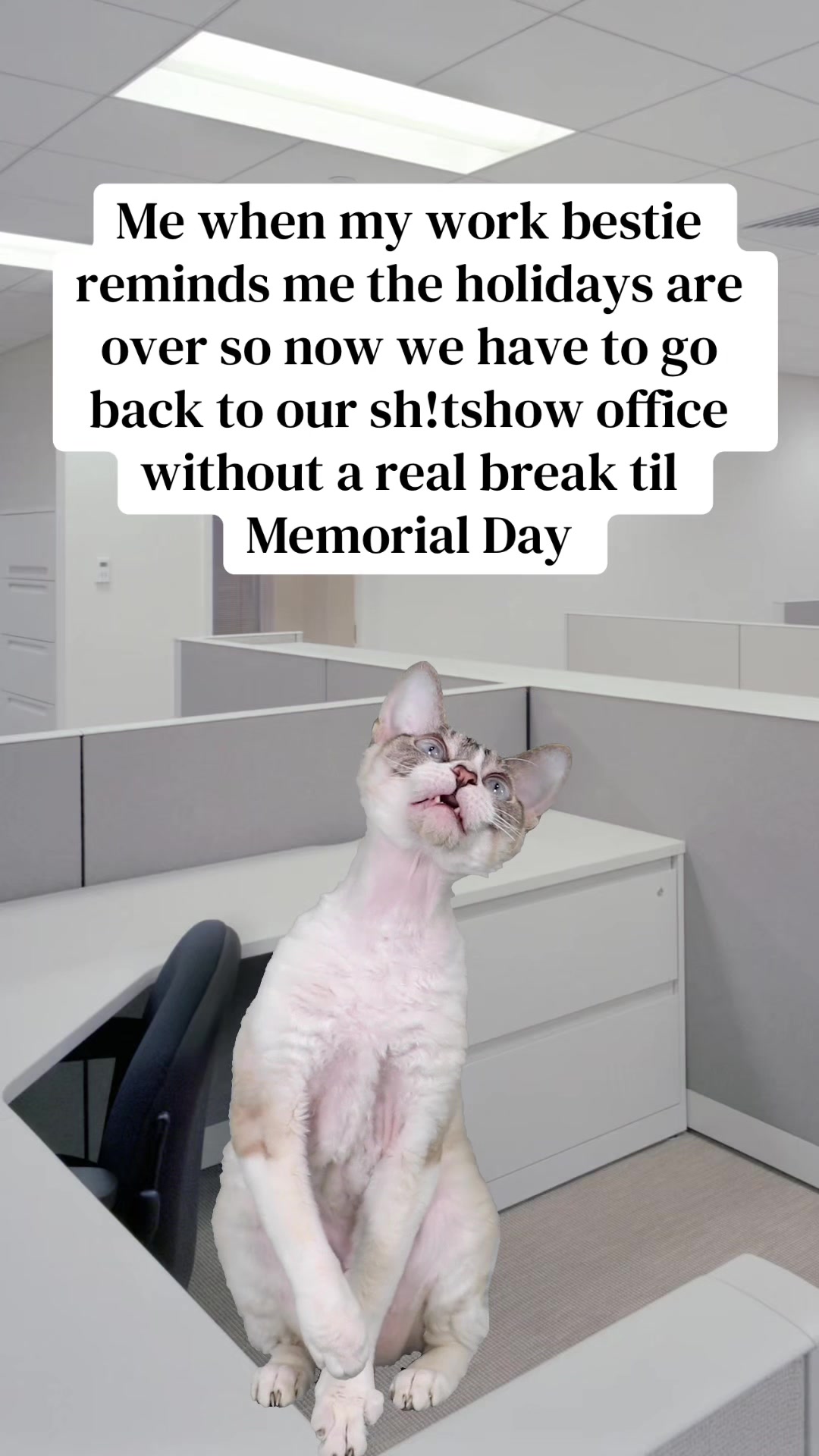 @Office Snark w/ Mackenna B