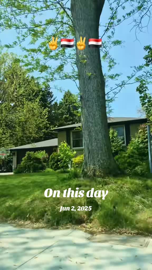 @مايا 🇾🇪🇨🇦