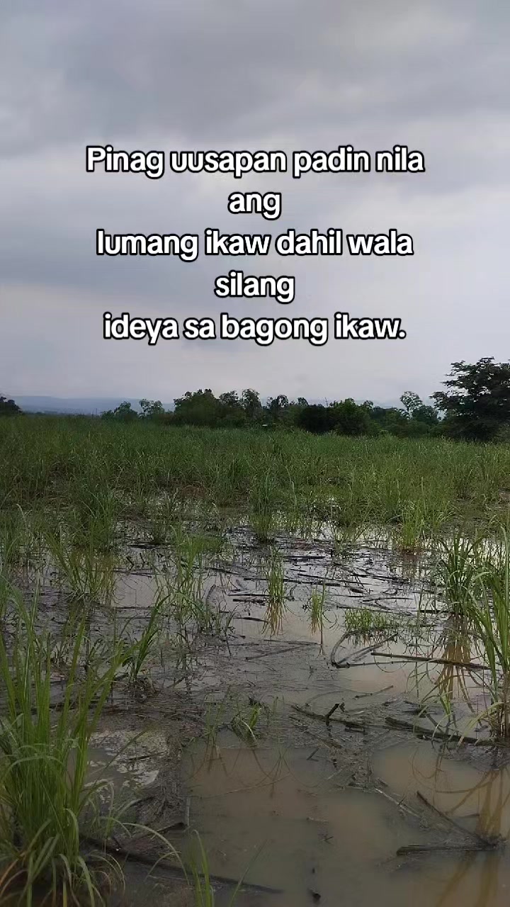 @jay