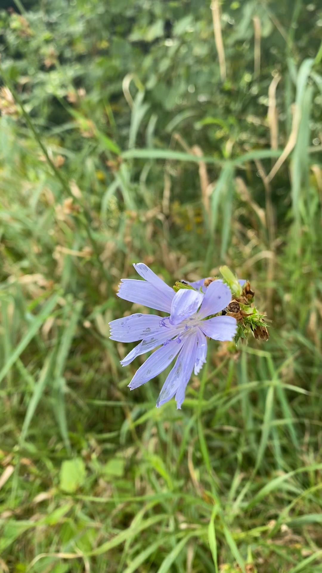 @Grace N