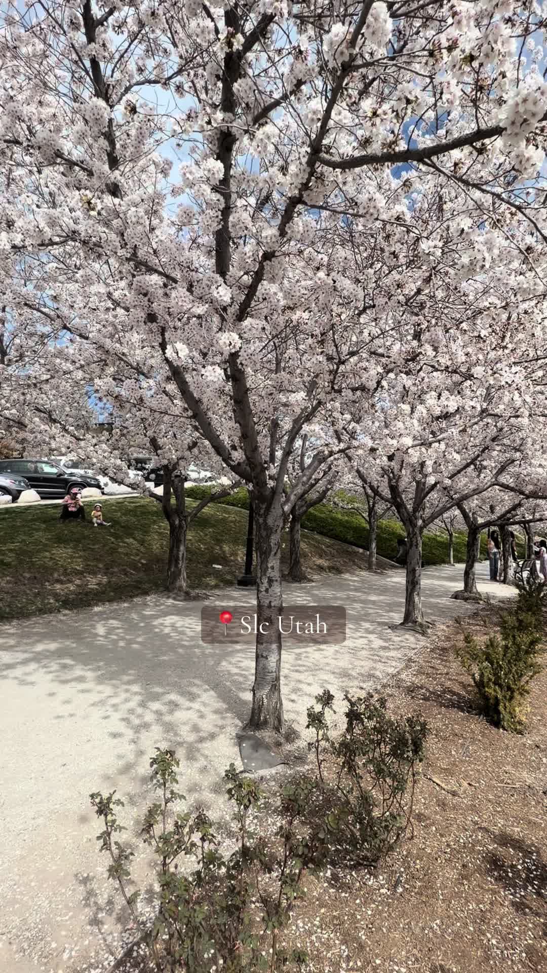 @America ♥️