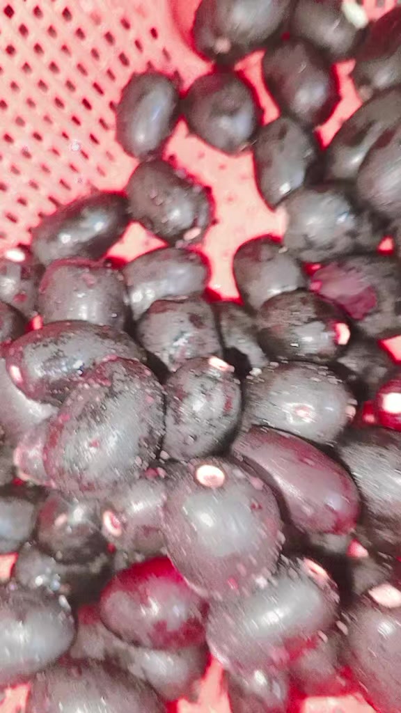 @قاتل مغل 🫶🏼