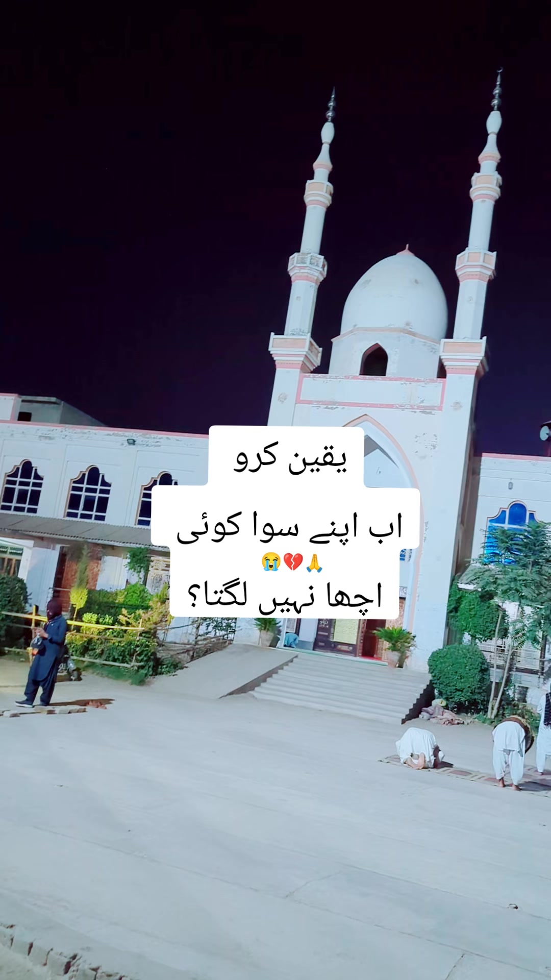 @Tayeb khan Sanzar