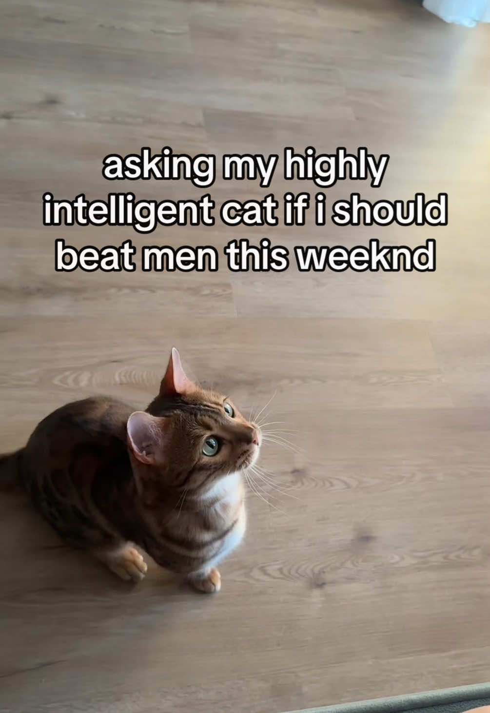@¿