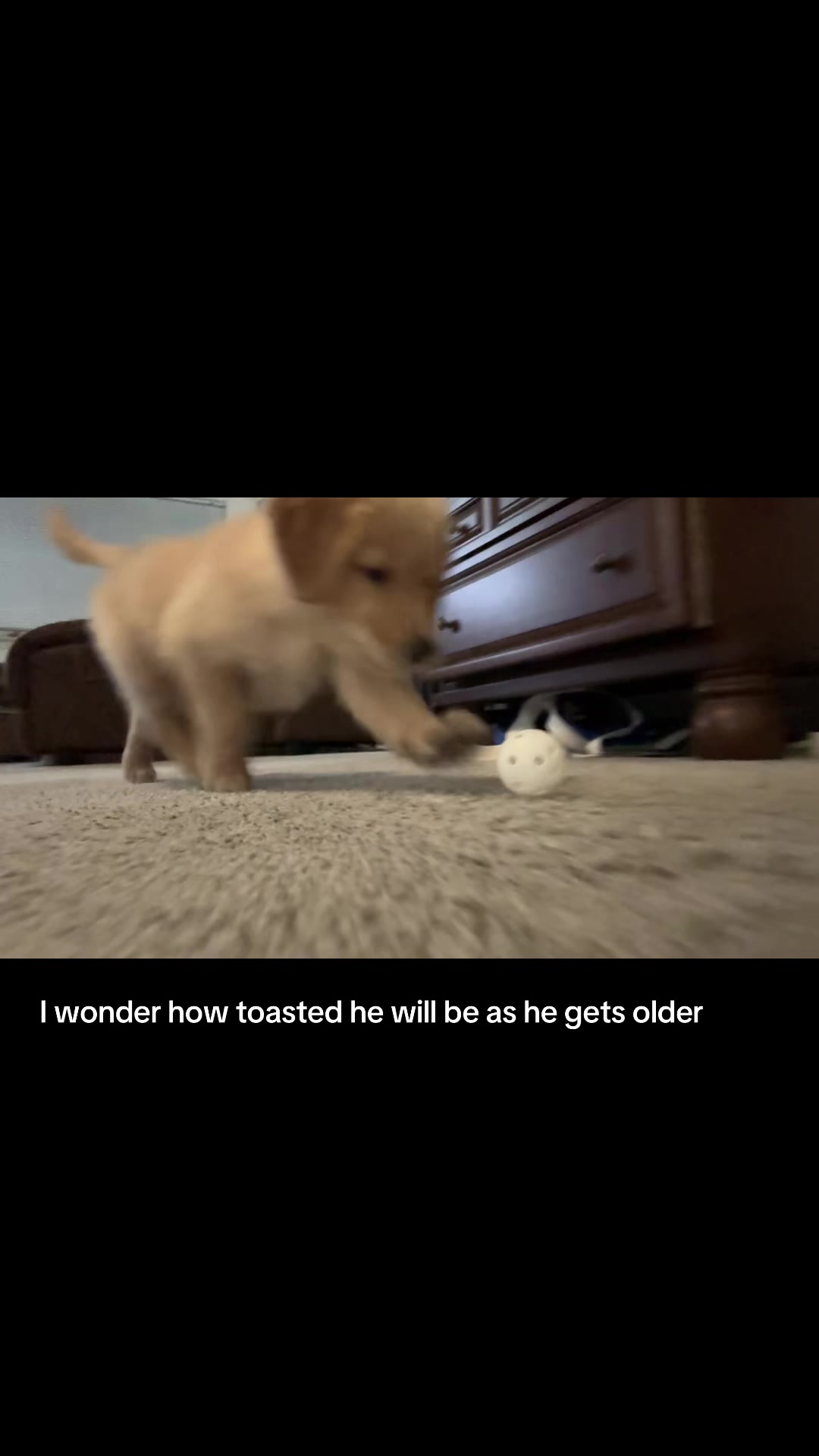 @McSquishy_XVI