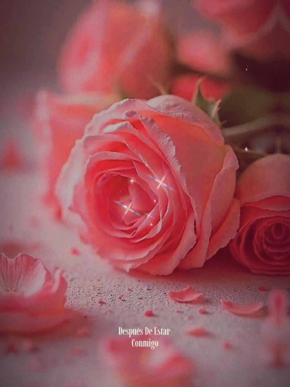 @♥️ 𝐹𝑒𝓁𝓎 ♥️
