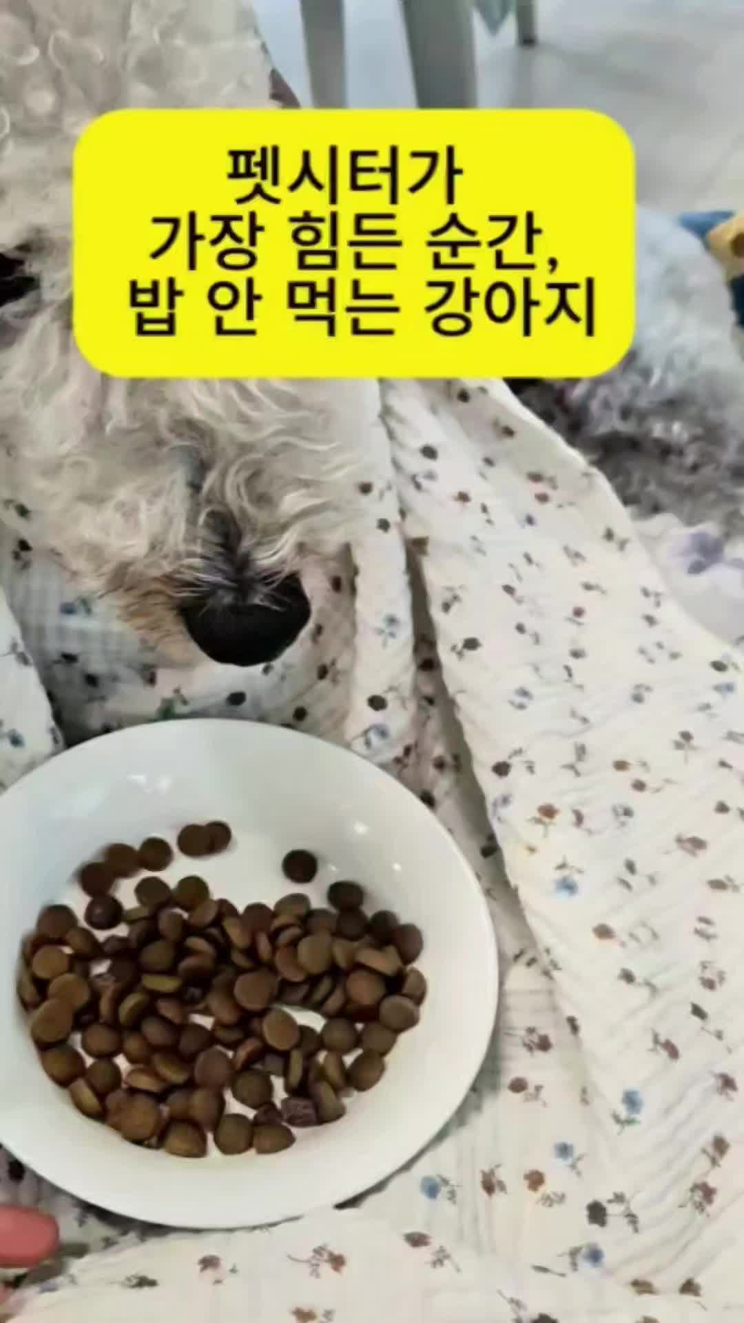 @백서현218