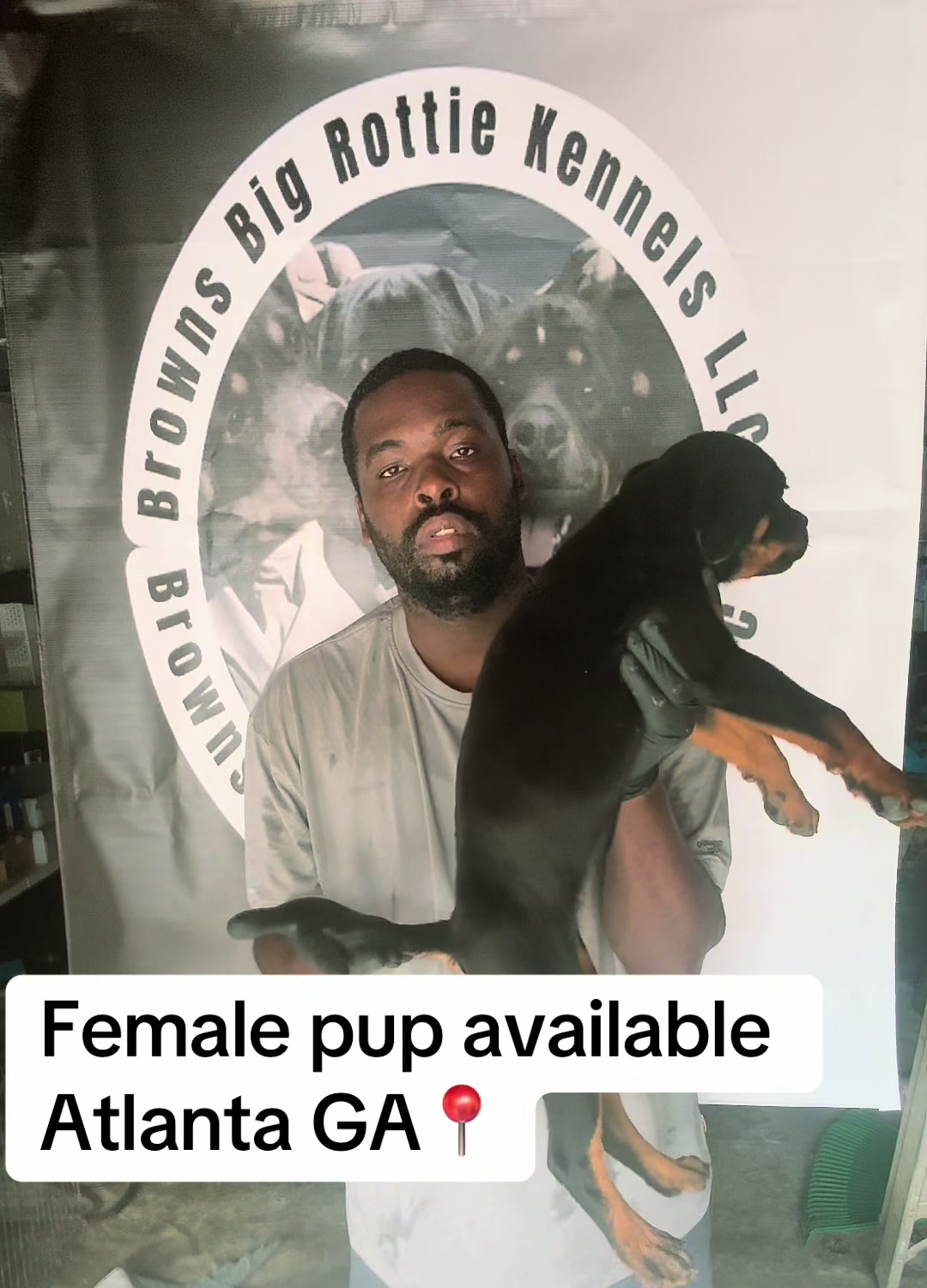 @BrownsBigRottieKennelsLLC