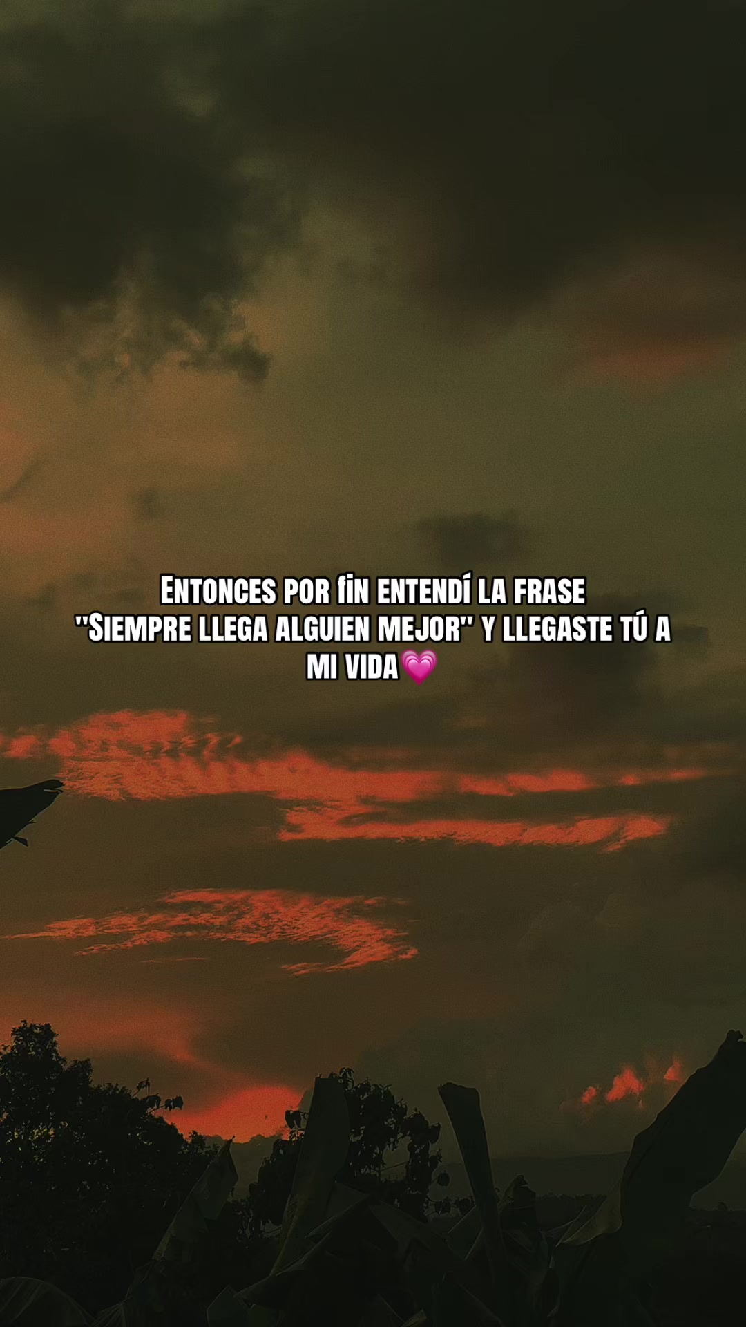 @Marta Sarat