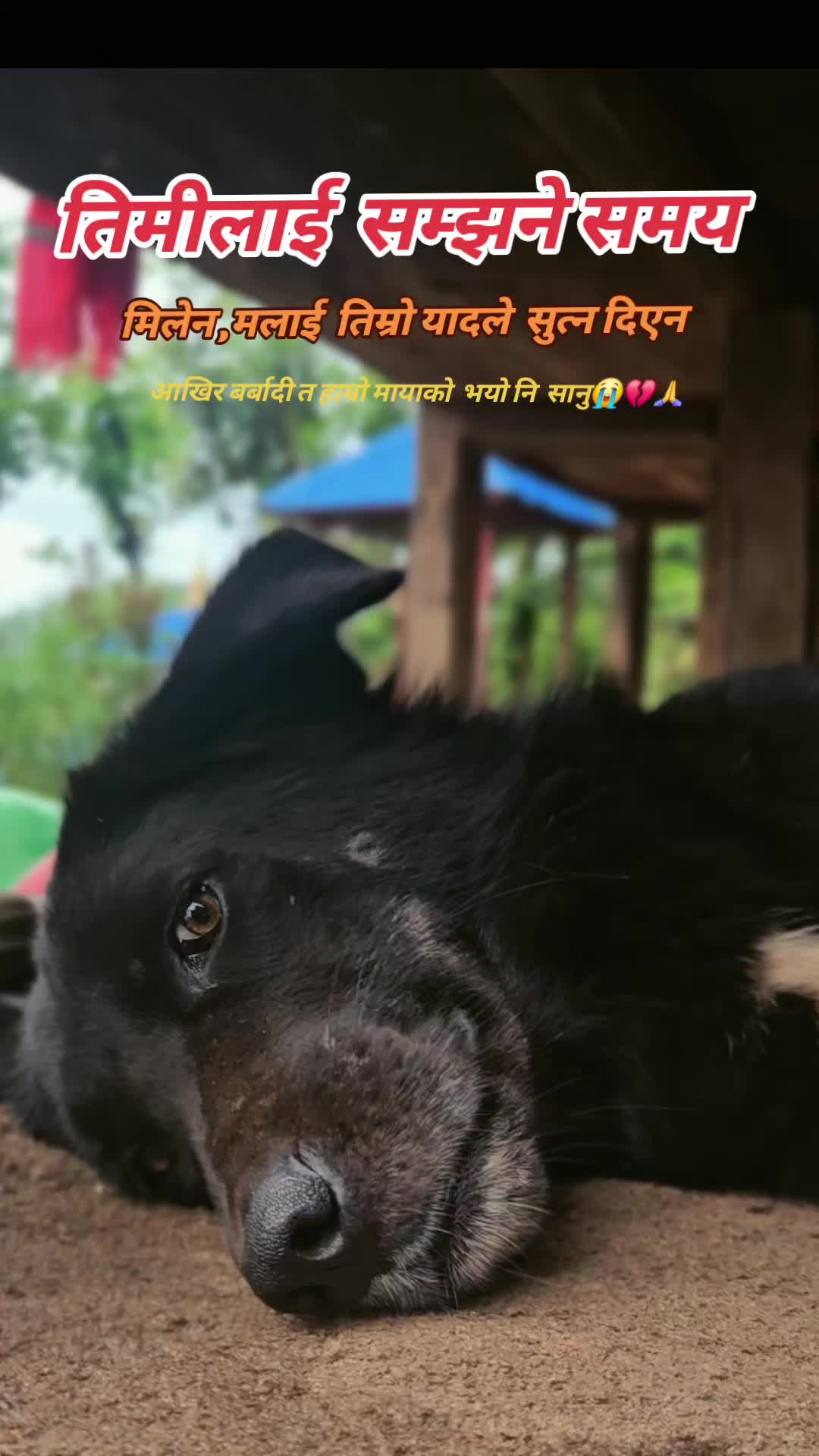 @AASHISH🤗🤗