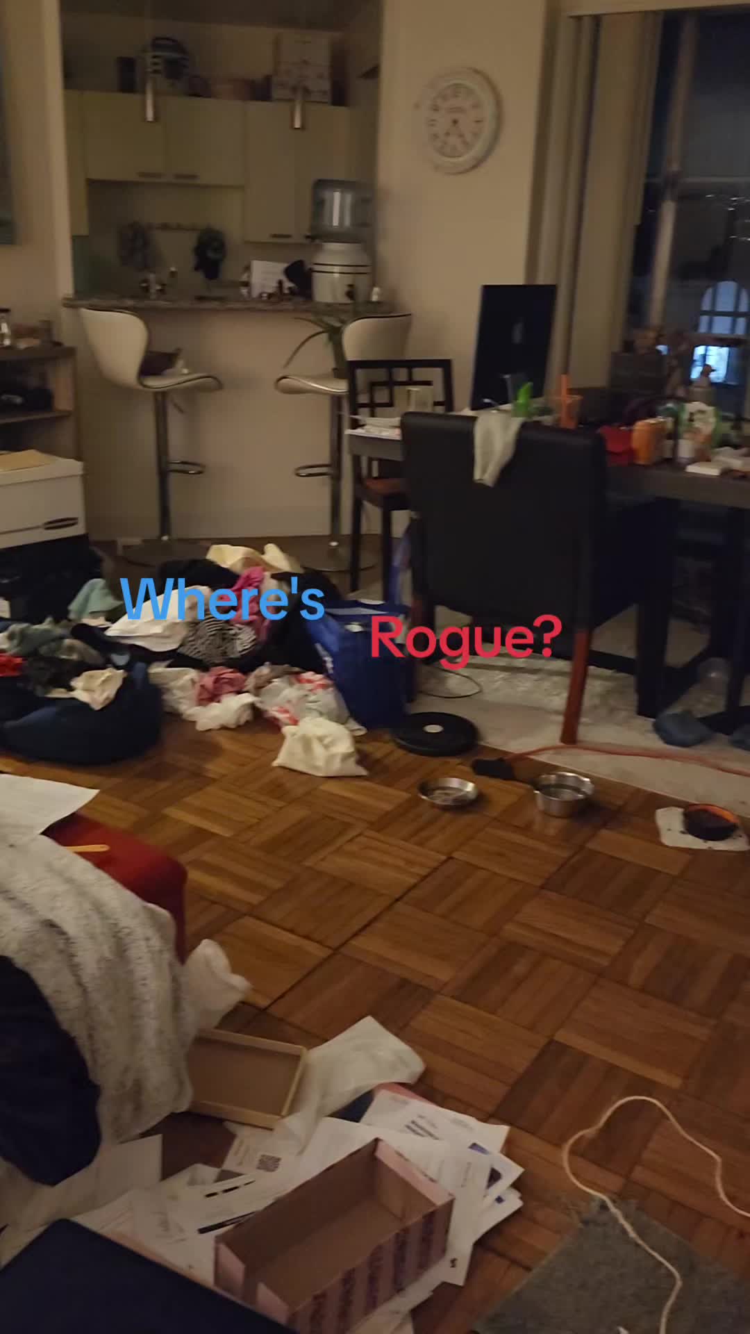 @ROGUE WONG