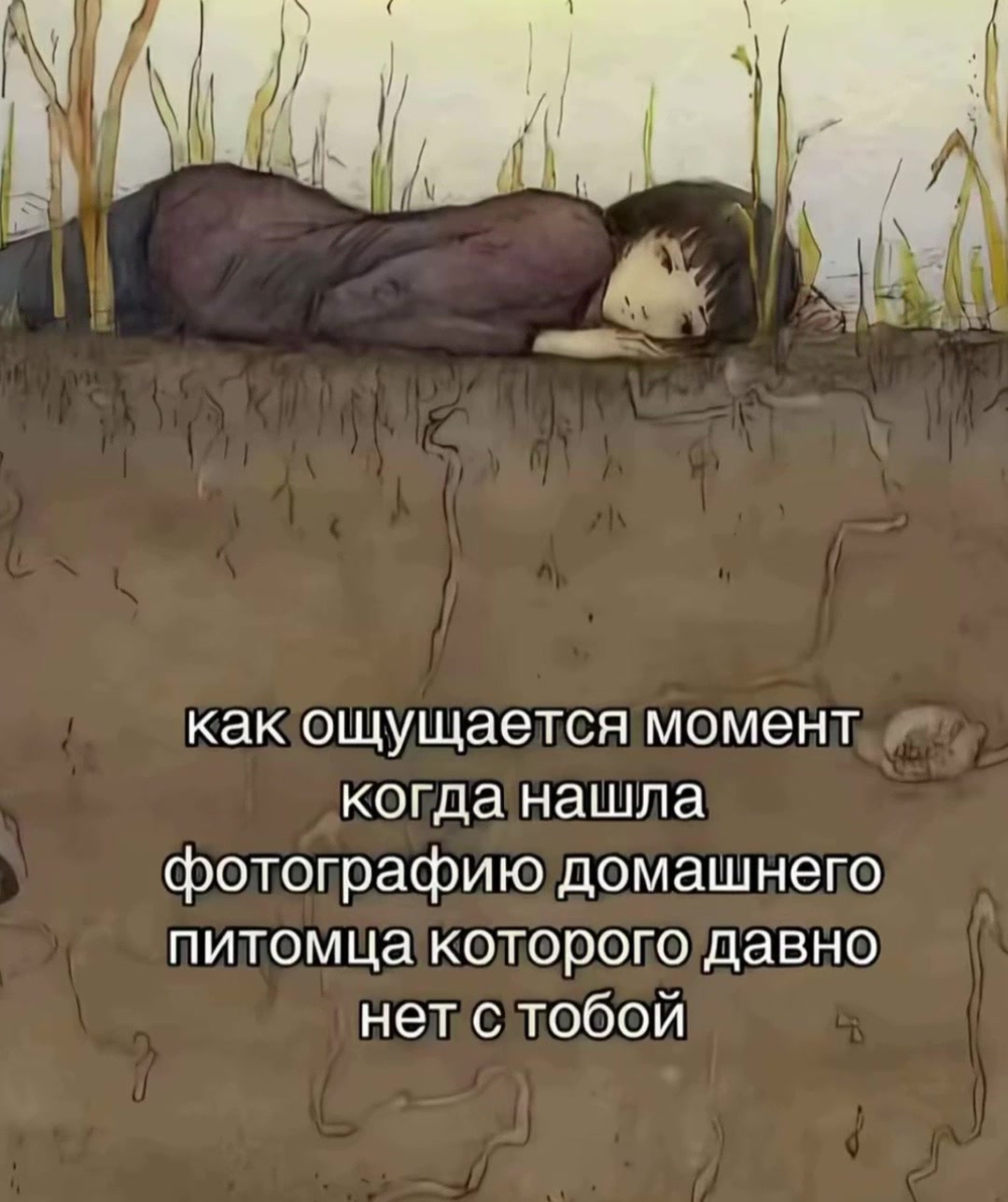 @Elena