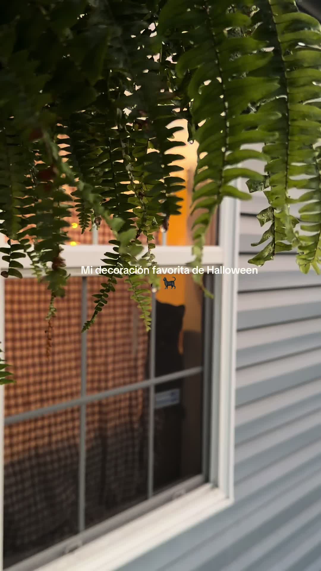 @DIANA 🍯