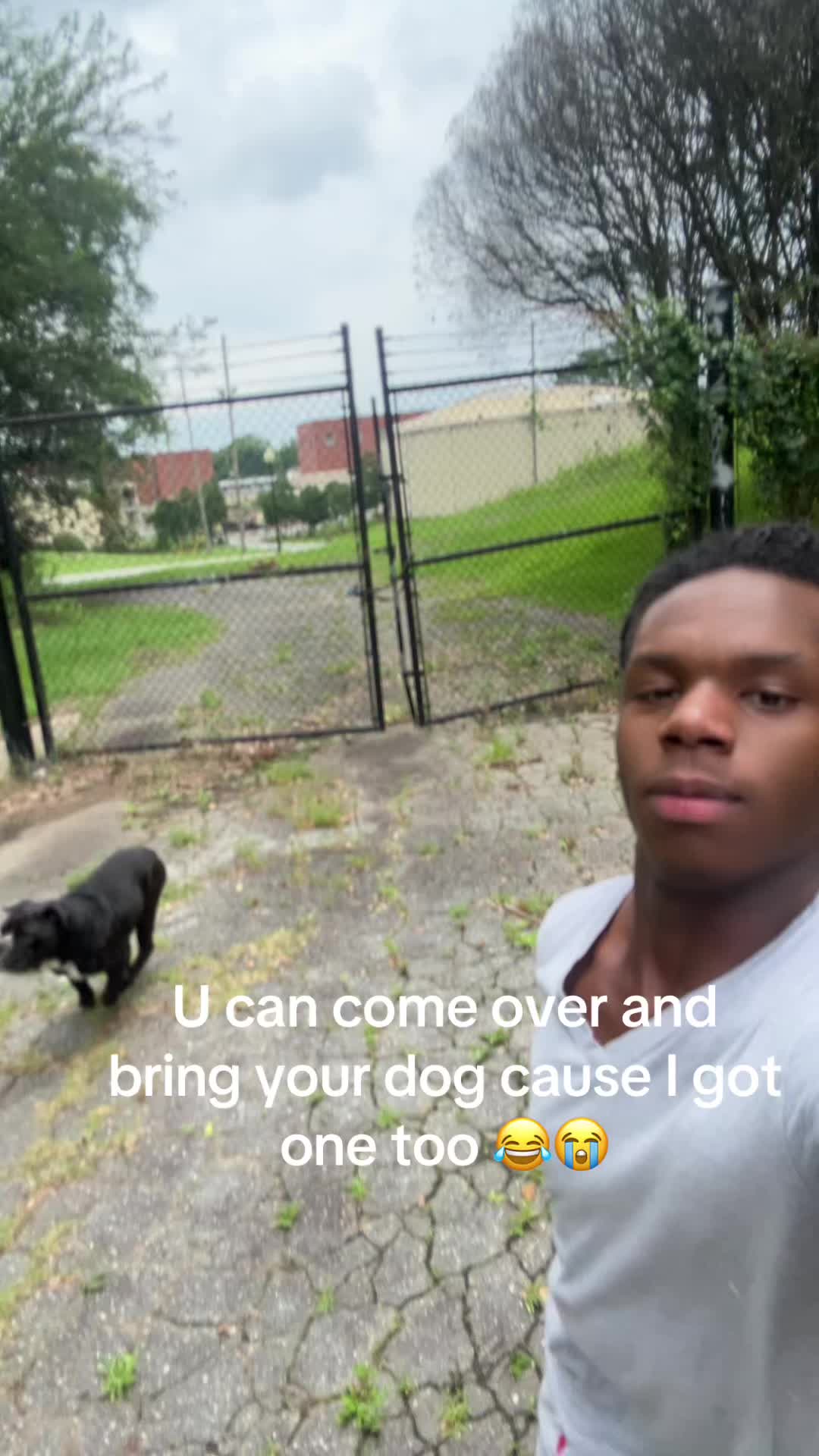 @Chief