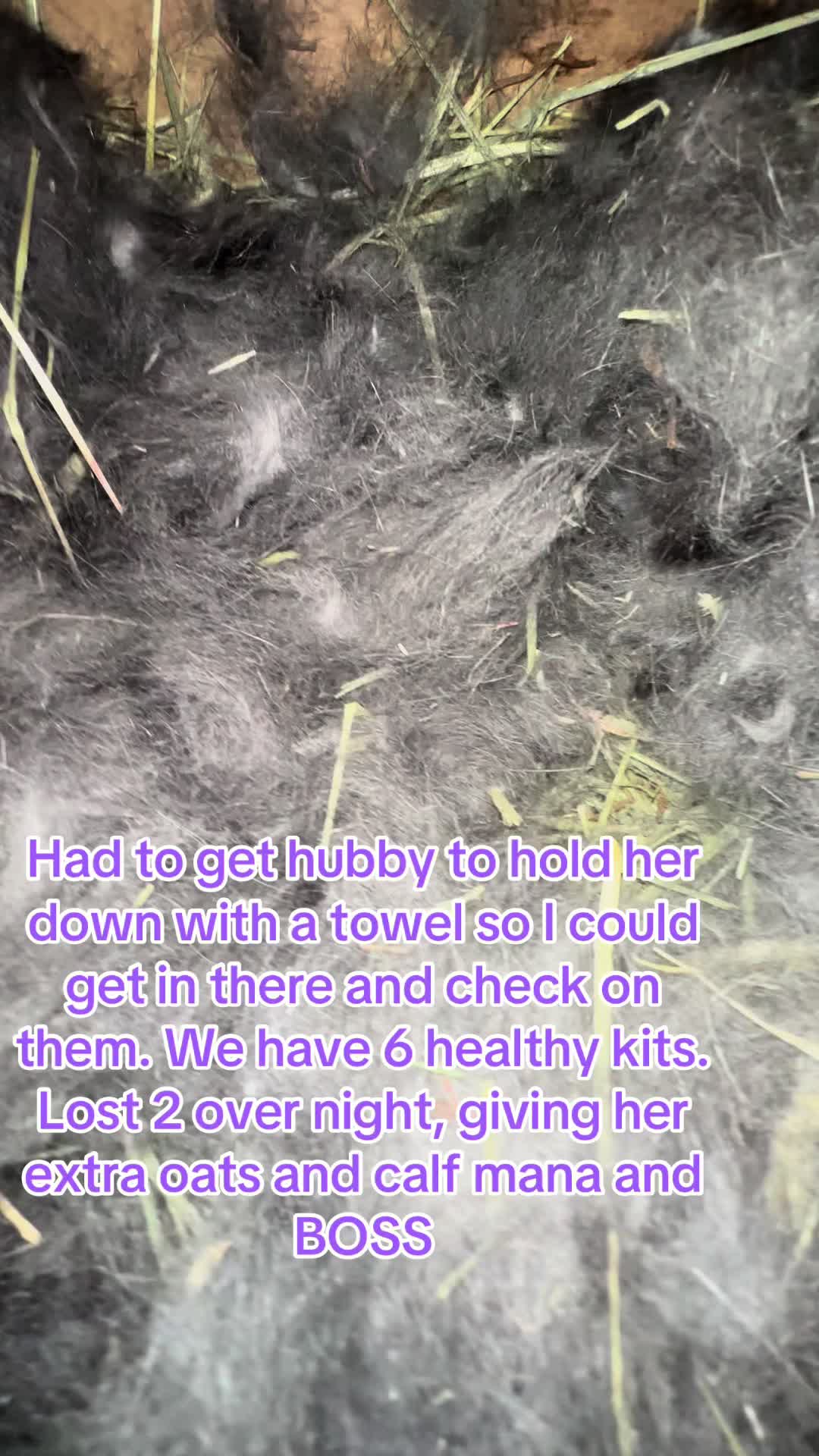 @rabbitqueen2025