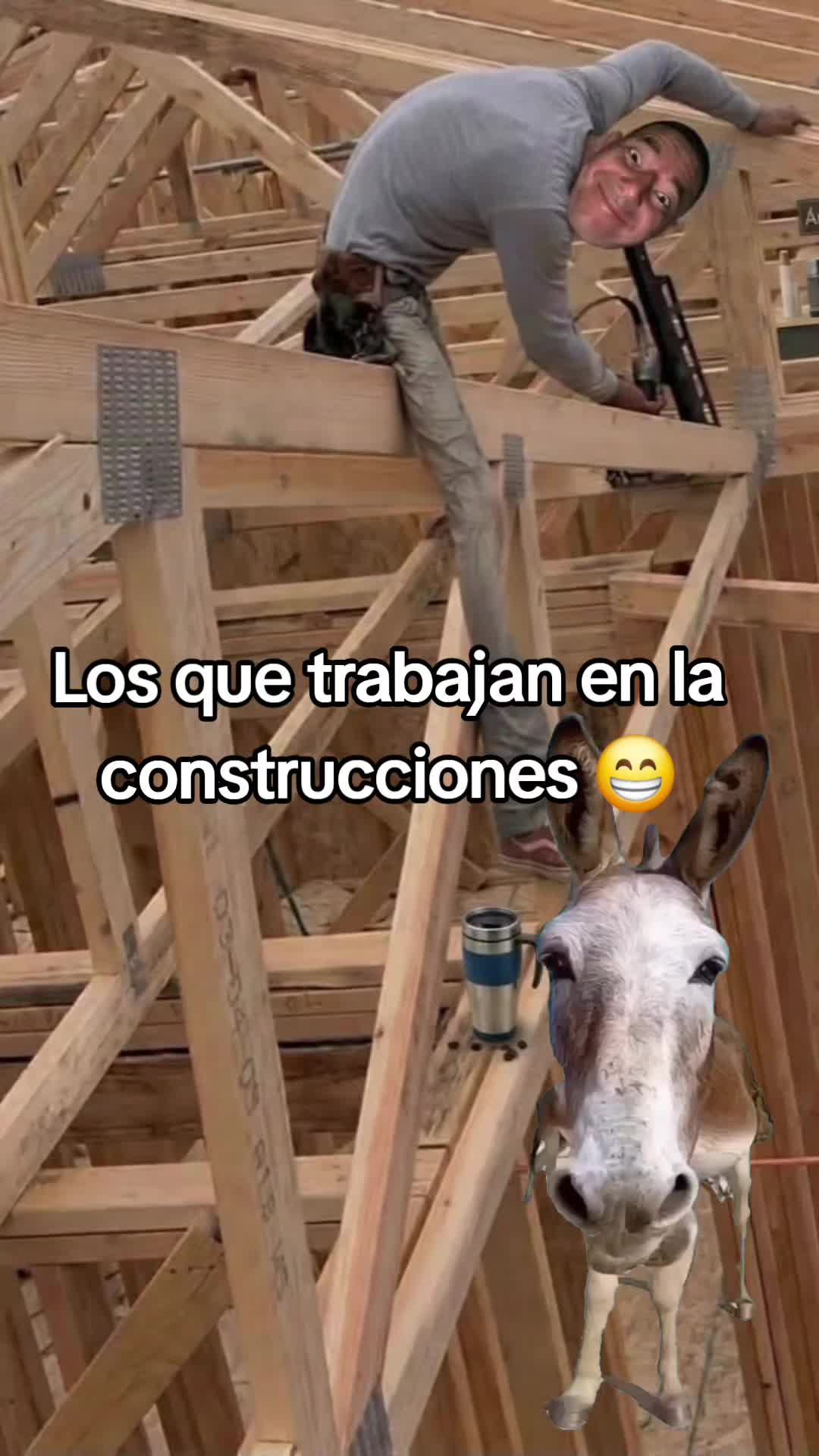 @Canu🤠