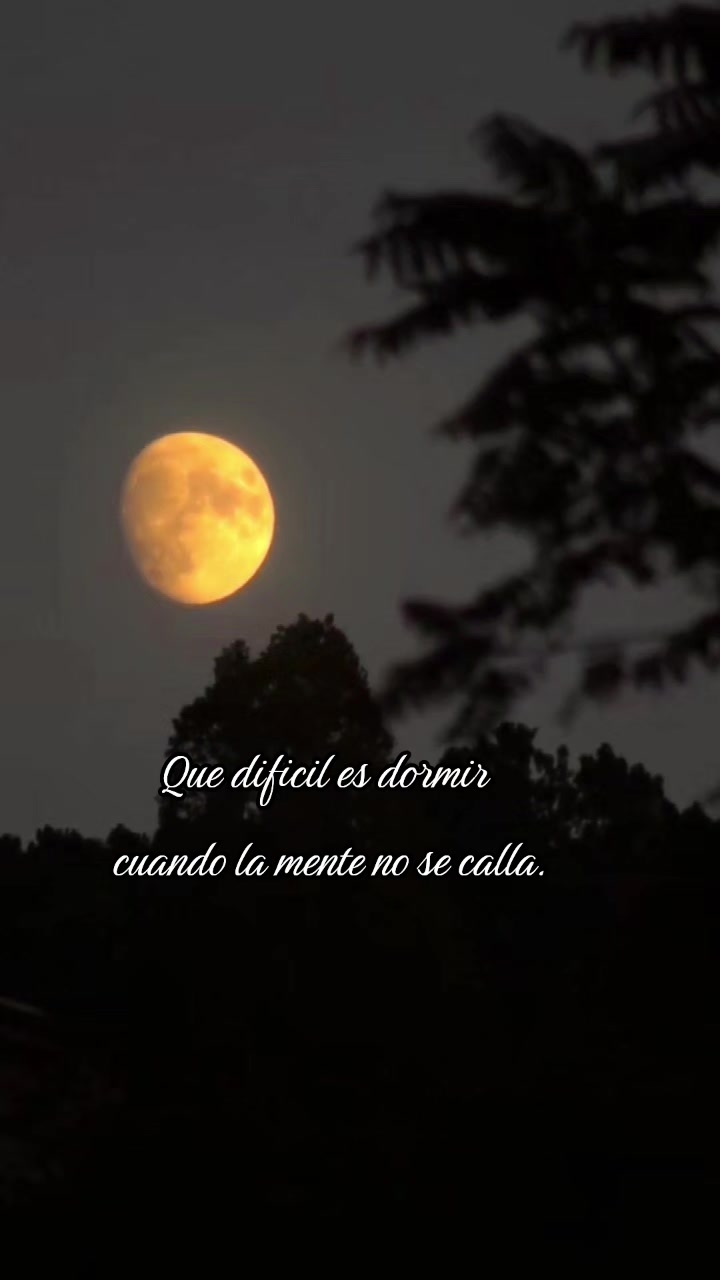 @Mariiapadilla 🌸