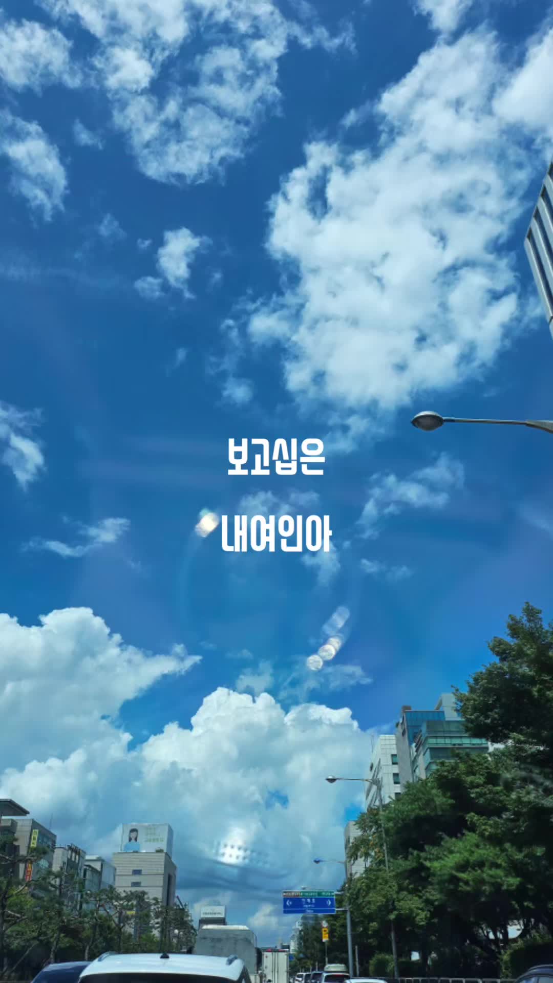 @🍃💞🩵젤리이삐🩵💞🍃