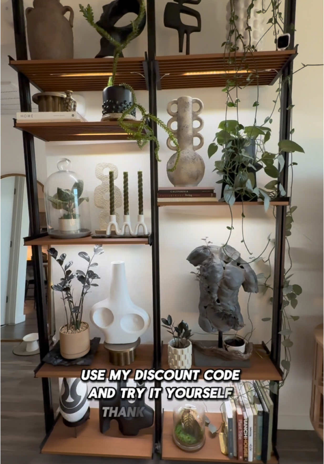 @Cyril&rsquo;s Plants | Cats | DIY 🌿
