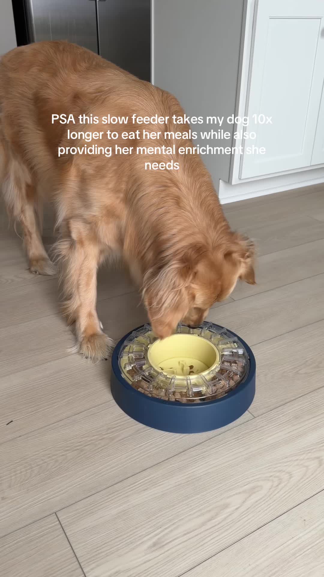 @novathegoldenn
