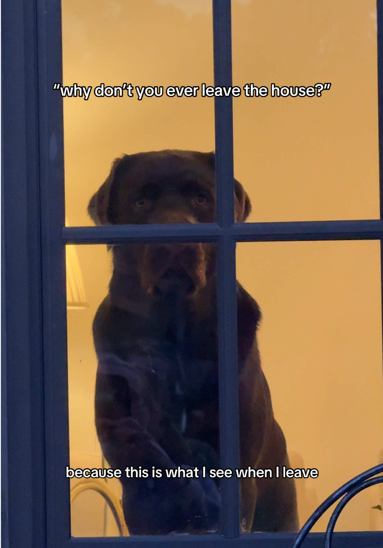 @chipthechonk
