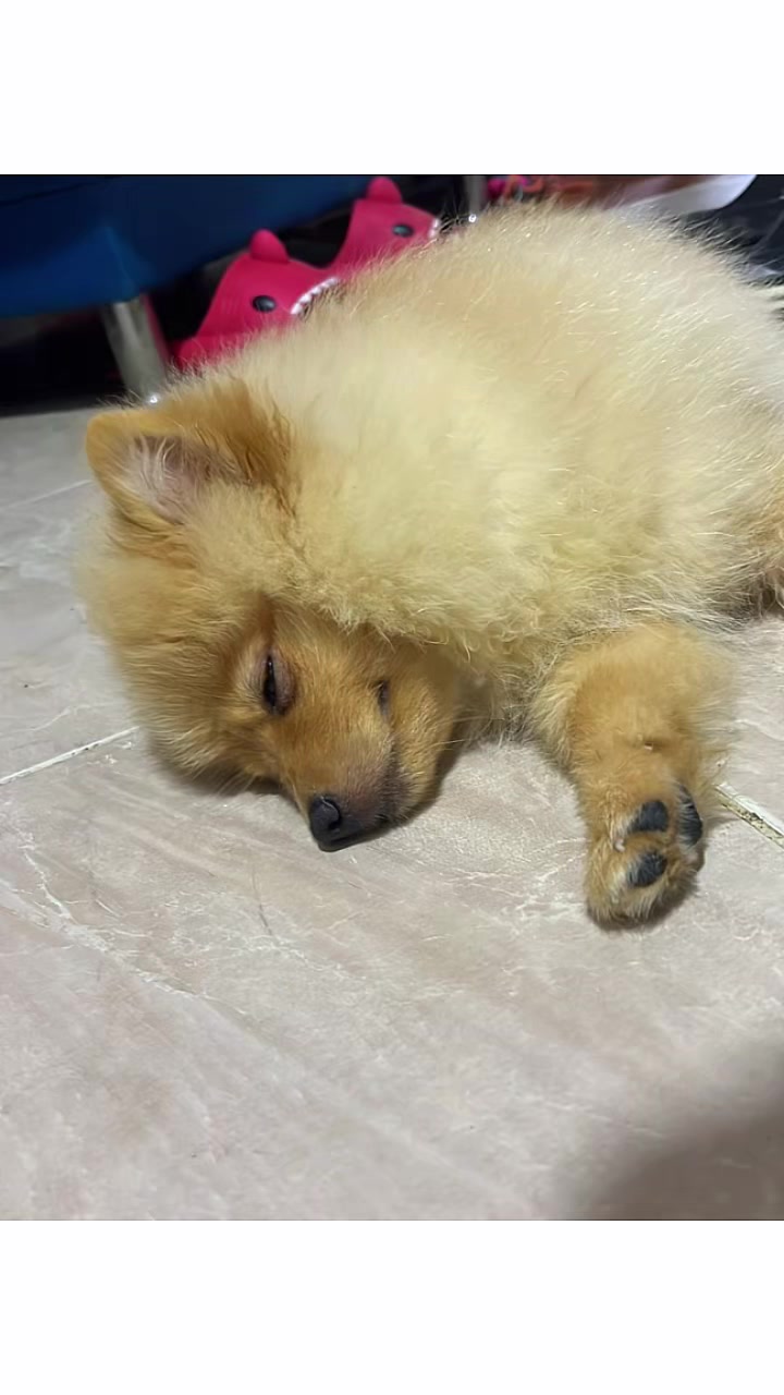 @Mala Vidal