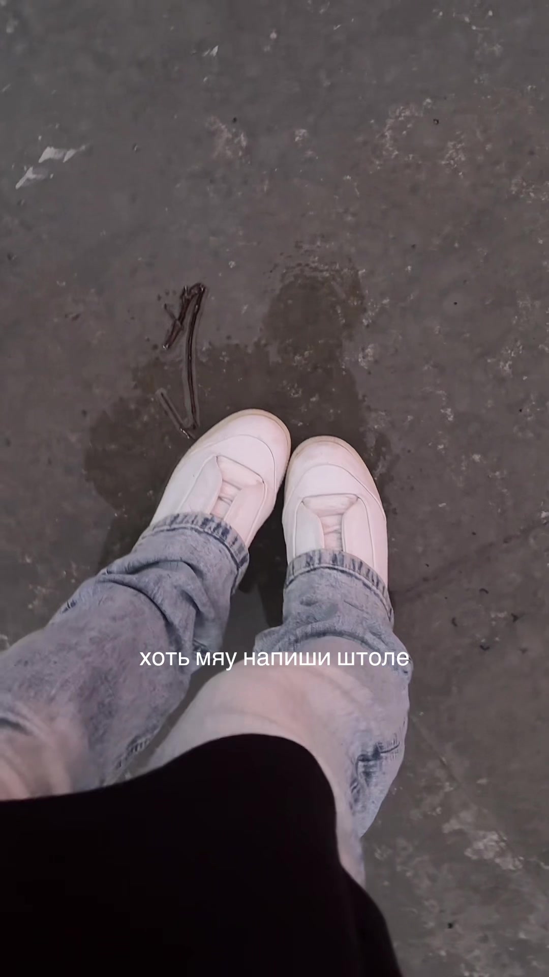 @колесникова