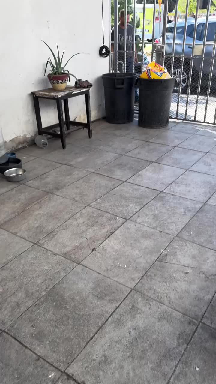 @brincosdieraschamoy0
