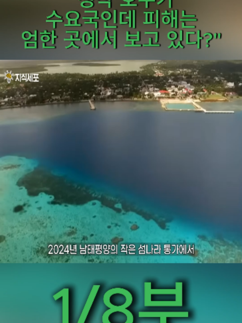 @지식세포