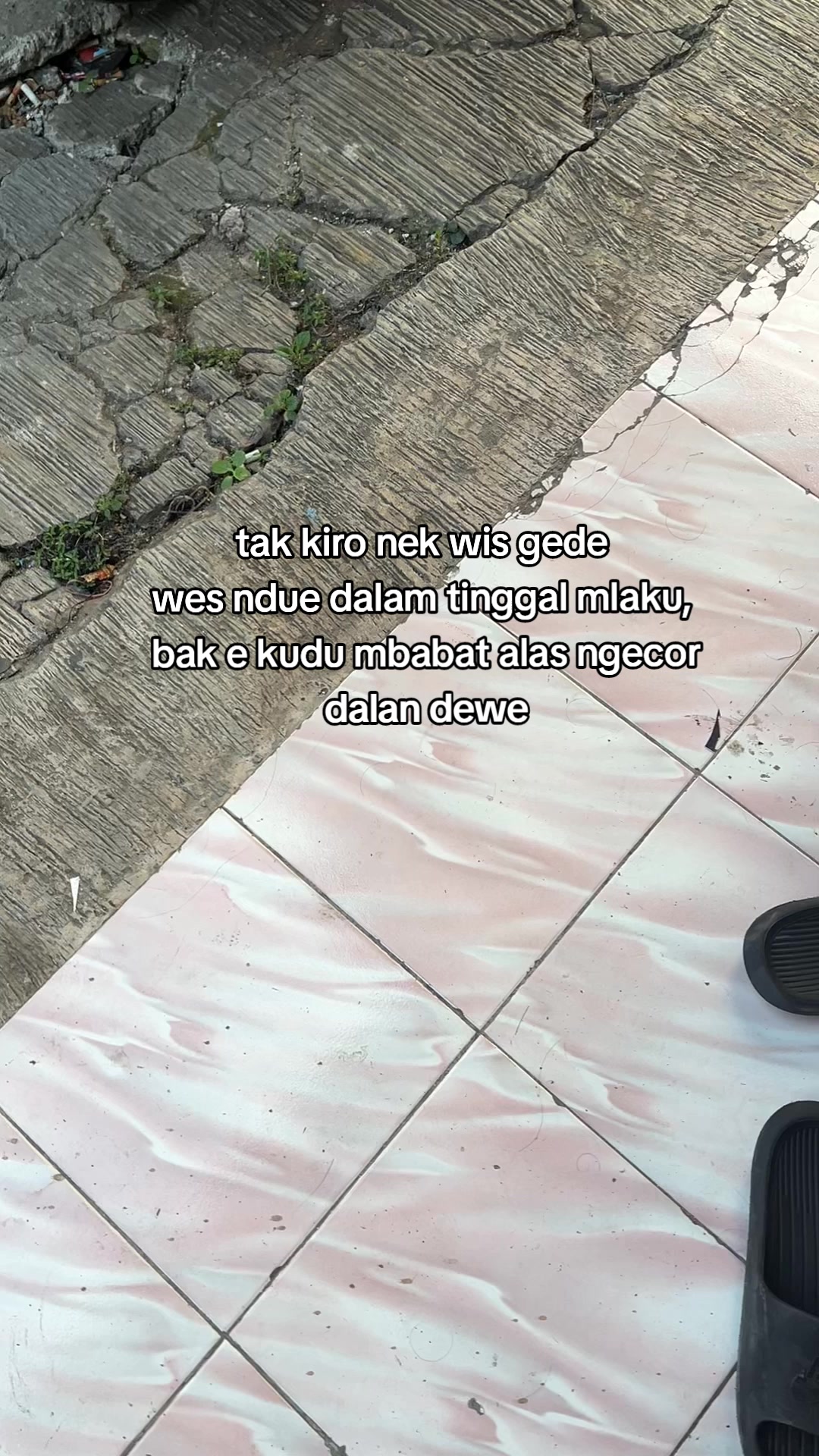 @CaloN Mayat×͜×