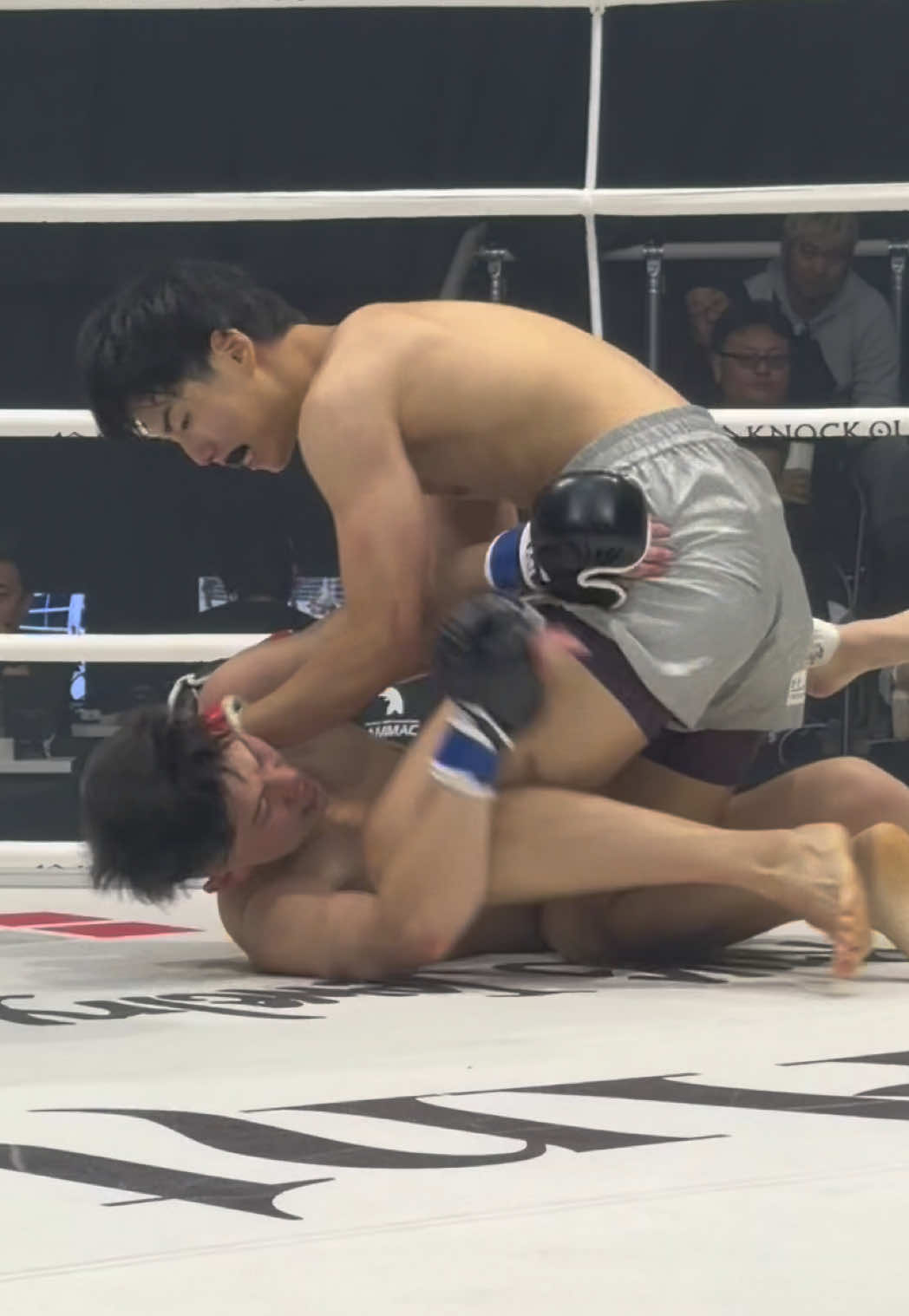 @KNOCK OUT（ノックアウト）公式