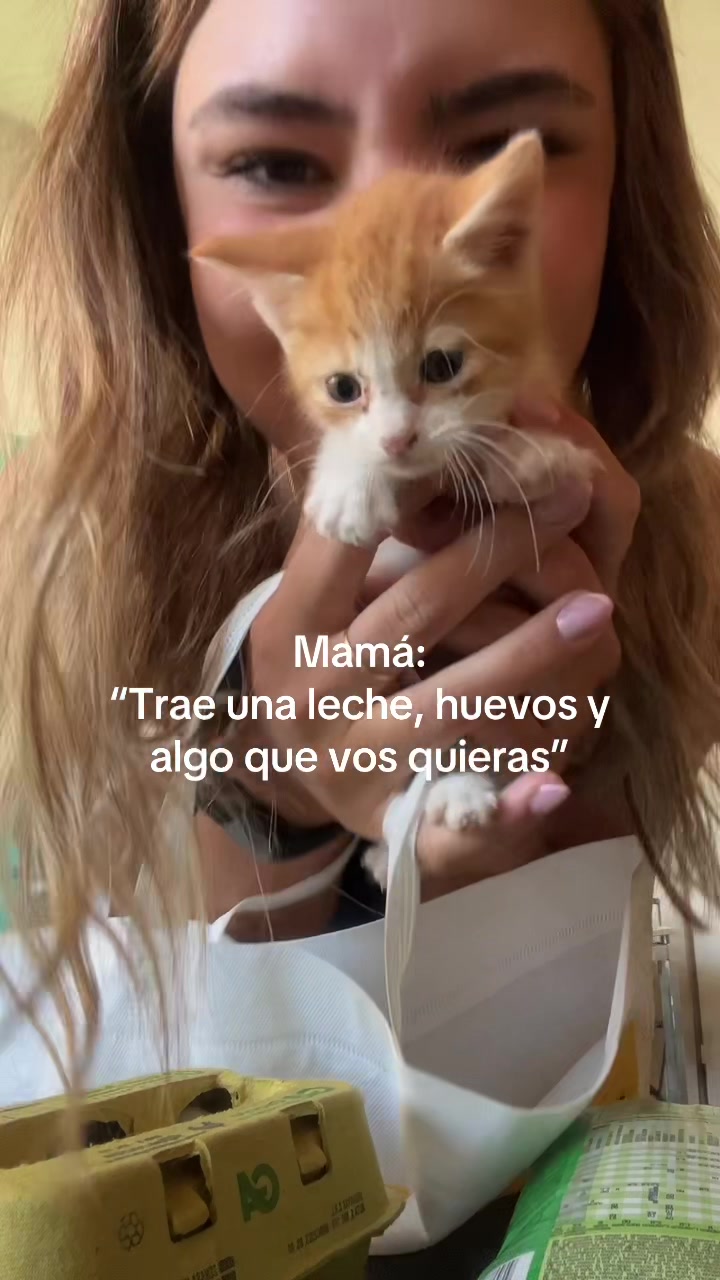 @Nina Senra