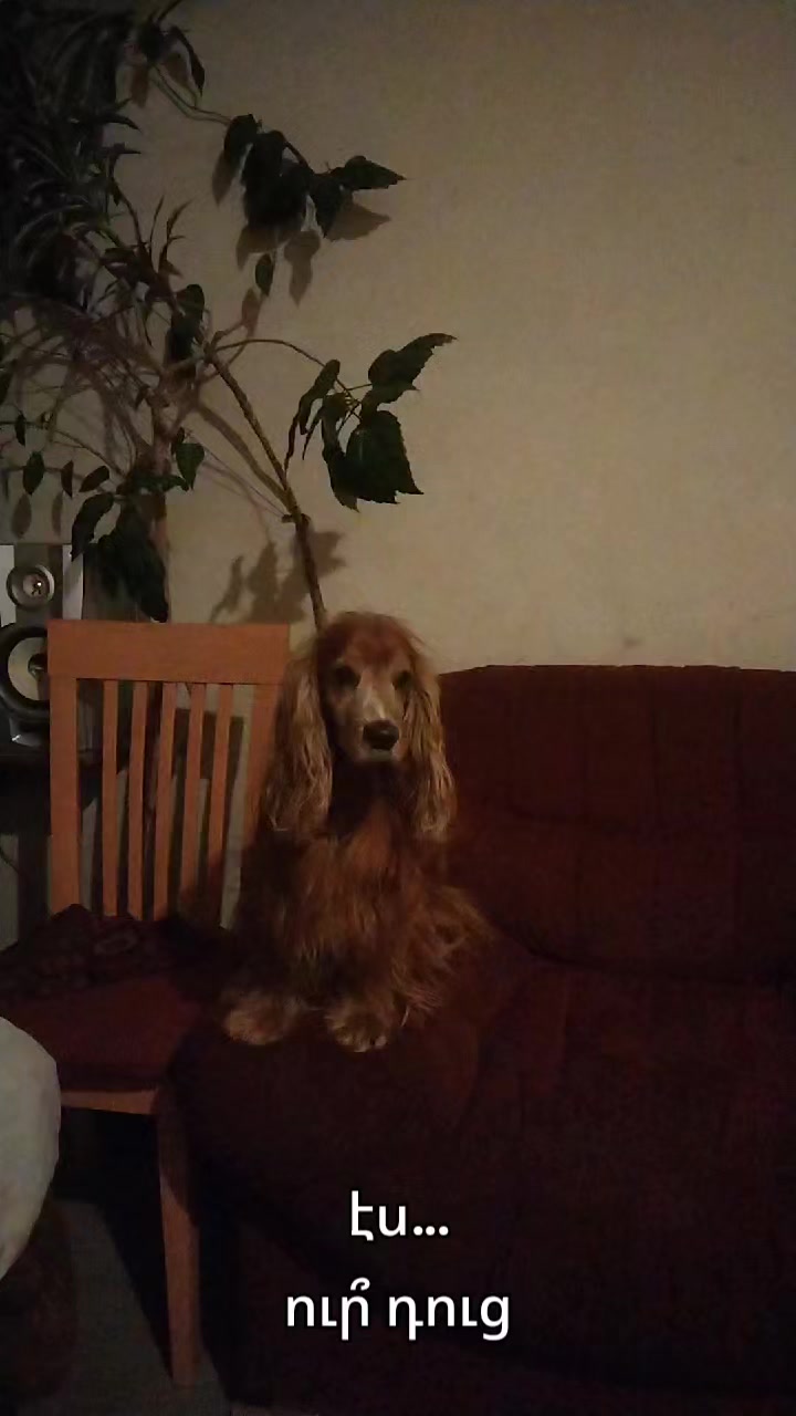 @Артур