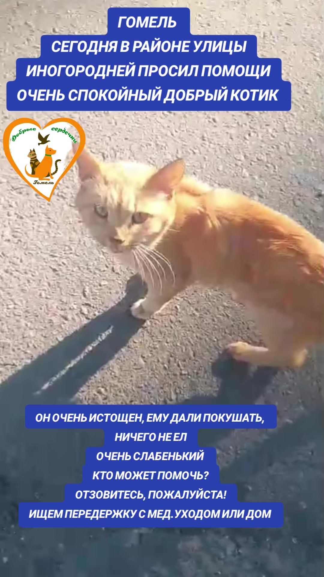 @Марина