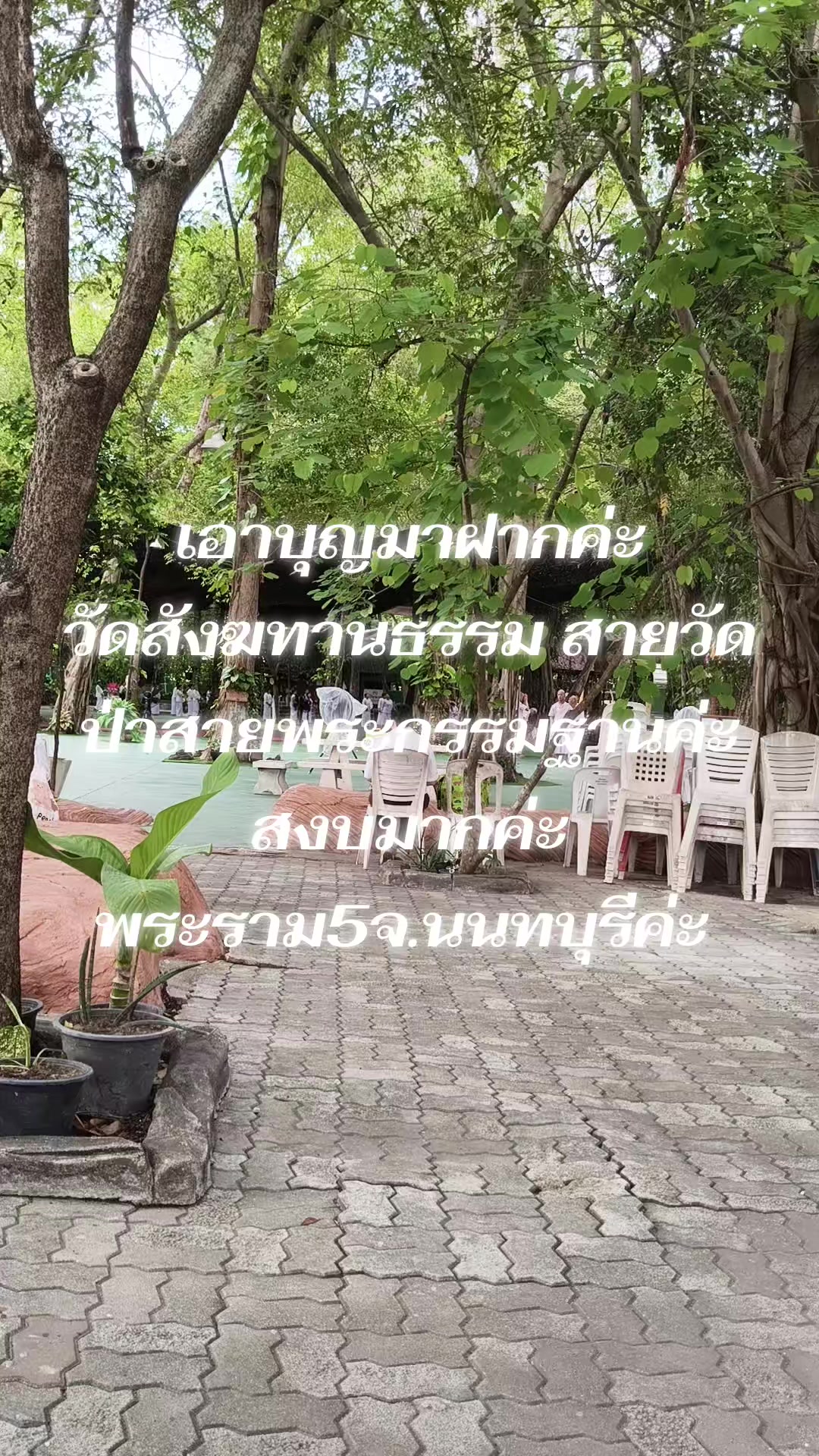 @มาดาม เพชร
