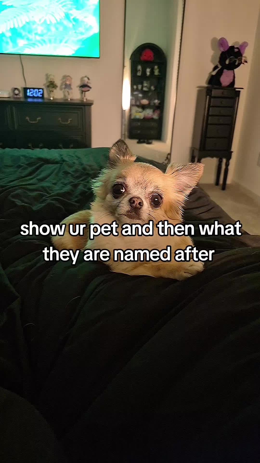 @Goth Wife
