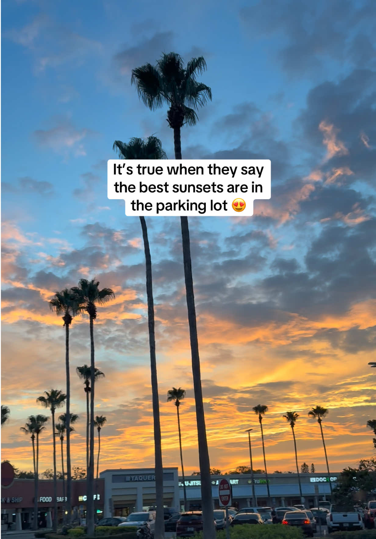 @lily || fl lifestyle & travel
