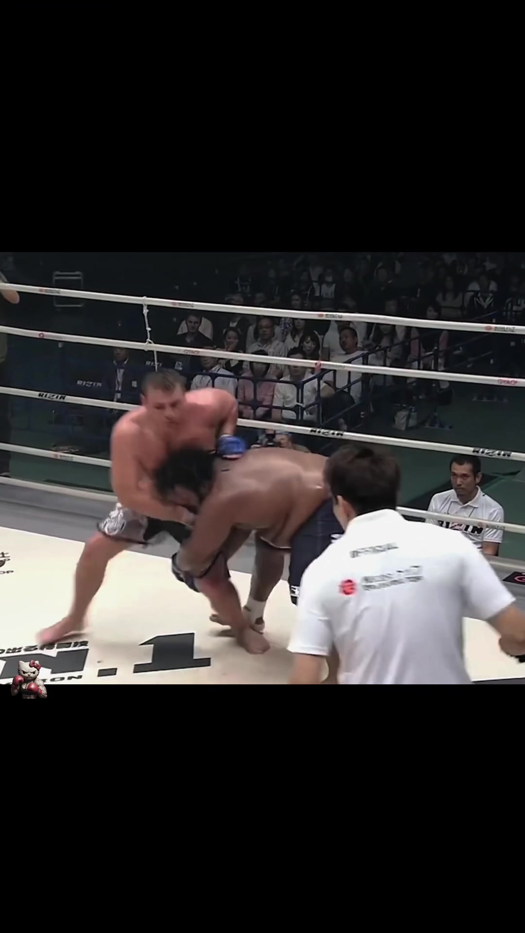 @boxingcat1