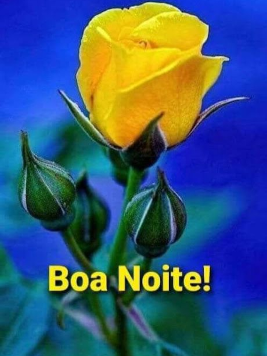 @GILDENICE MACHADO