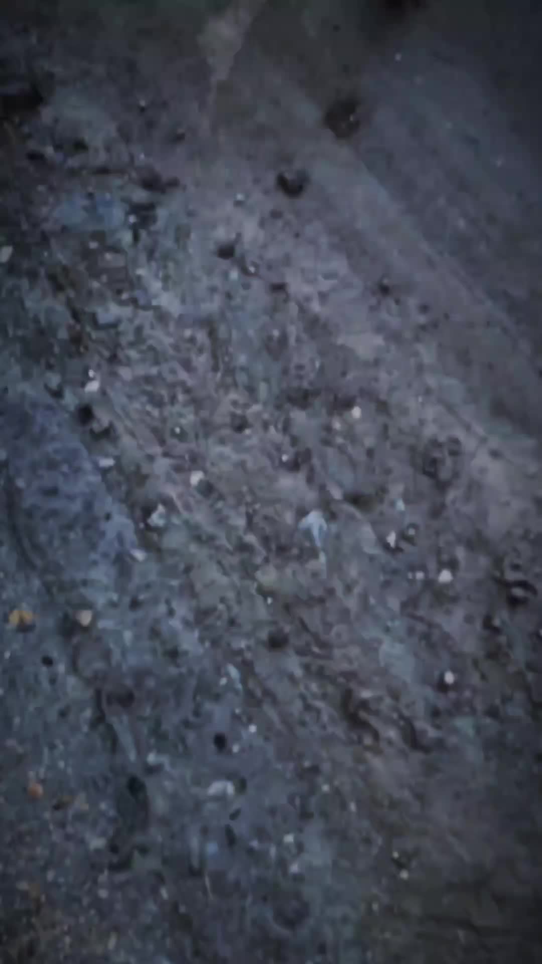 @alphavod🫟