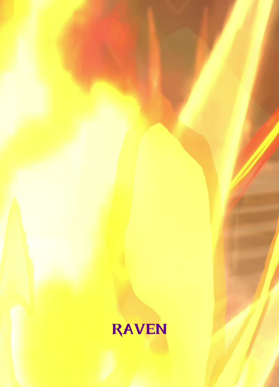 @RR RAVEN35