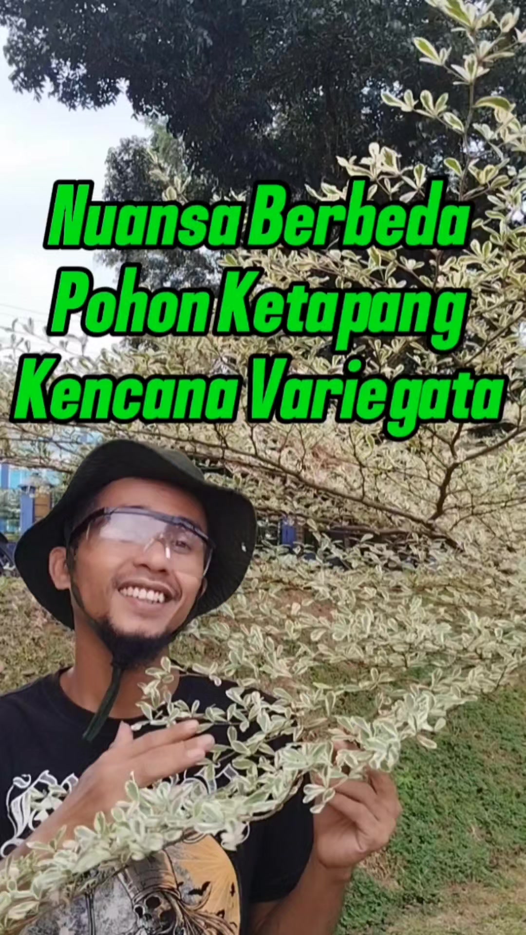 @Bukit Farming