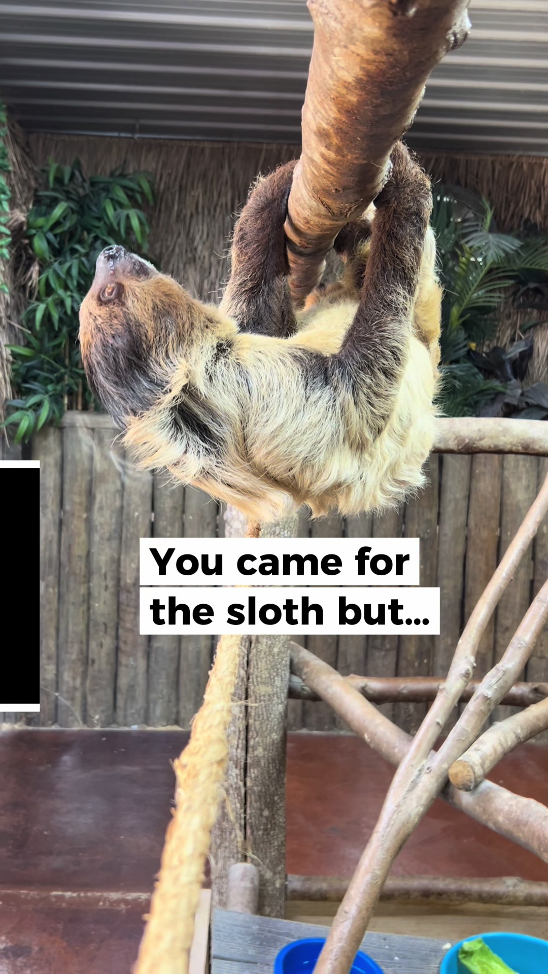 @southlandsafari