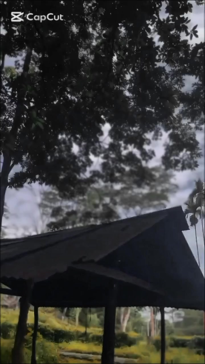 @𝗞AveeZz🕸️🖤