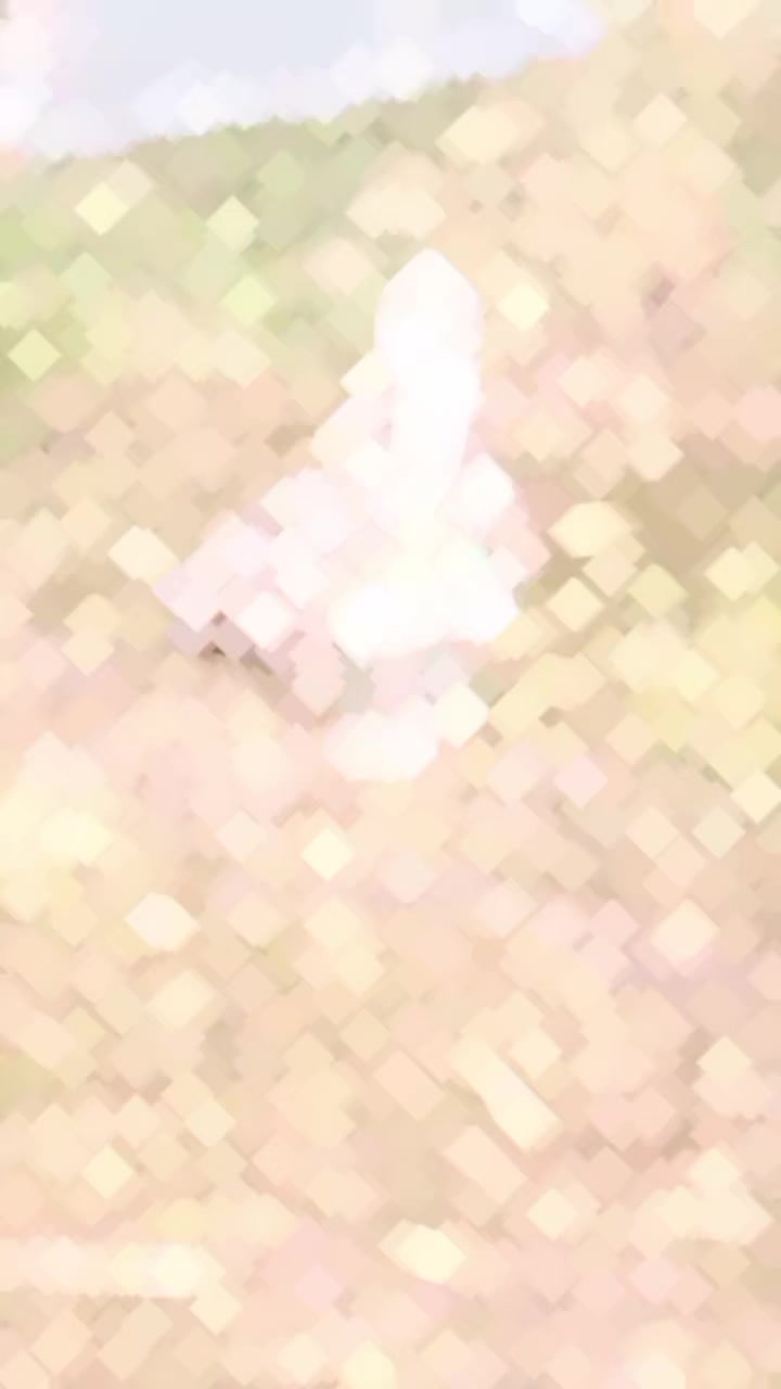 @༒☬𝓜𝓪𝓼𝓸𝓸𝓶 𝓴𝓸𝓲𝓮𝓷𝓪☬༒