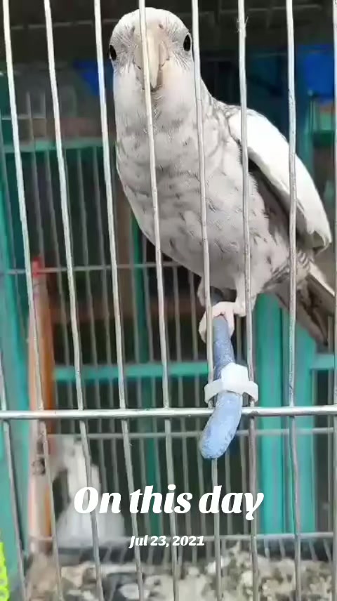 @𝑺𝒖𝒑𝒆𝒓𝑴𝒂𝒓𝒊𝒐